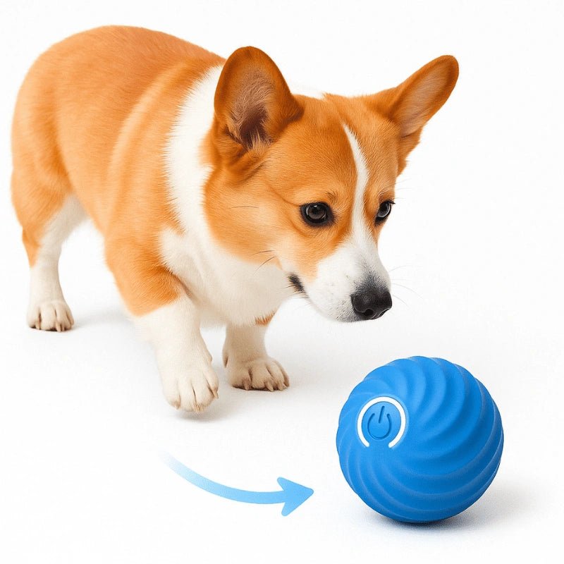 Dog Ball Pet Pulse – Interactive Motion - Sensing Bouncing Toy - Dog Ball Pet Pulse – Interactive Motion - Sensing Bouncing Toy - Petz Toyz