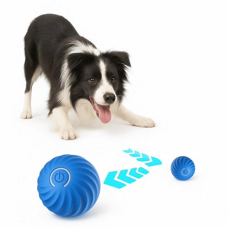 Dog Ball Pet Pulse – Interactive Motion - Sensing Bouncing Toy - Dog Ball Pet Pulse – Interactive Motion - Sensing Bouncing Toy - Petz Toyz