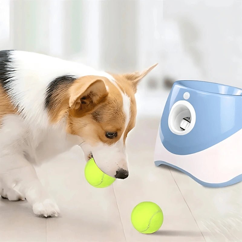 GoFetch Mini – Automatic Dog Ball Launcher Rechargeable - GoFetch Mini – Automatic Dog Ball Launcher Rechargeable - Petz Toyz
