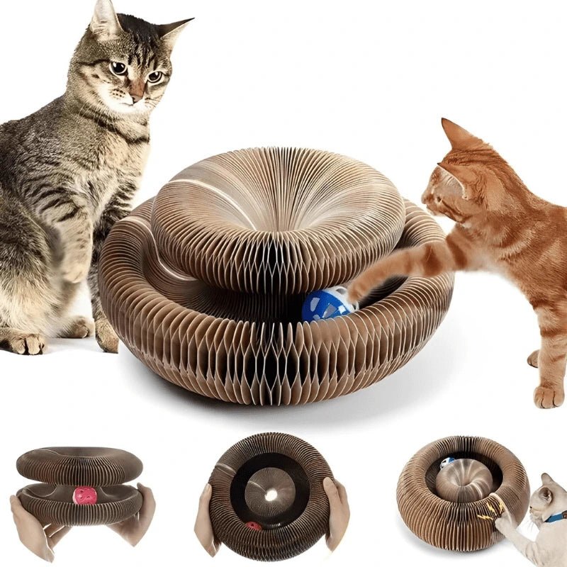 Magic Cat Scratcher - Compact Haven - Magic Cat Scratcher - Compact Haven - Petz Toyz