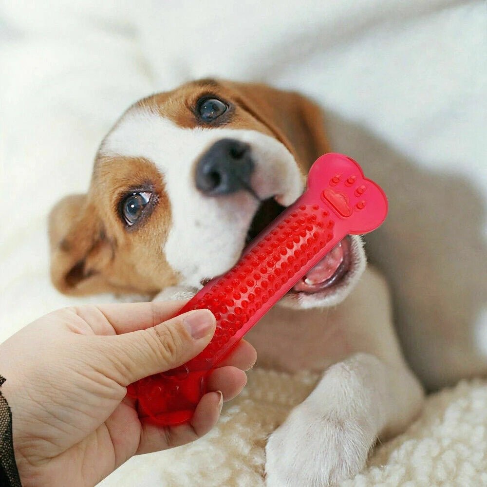 Colorful Rubber Dog Toy for Chewing Fun - Colorful Rubber Dog Toy for Chewing Fun - Petz Toyz