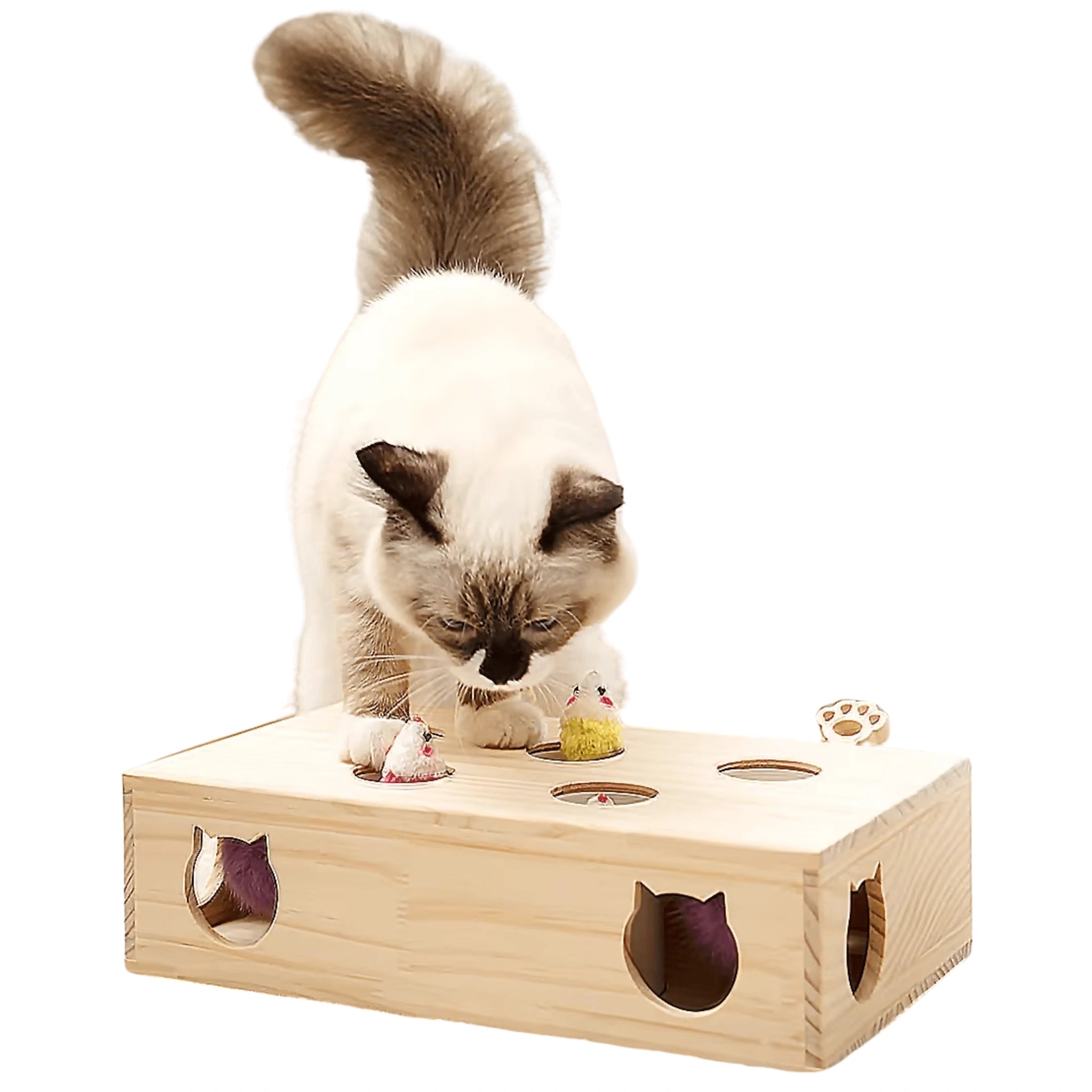 Maze Cat Deluxe – Interactive Wooden Toy for Endless Feline Fun - Maze Cat Deluxe – Interactive Wooden Toy for Endless Feline Fun - Petz Toyz